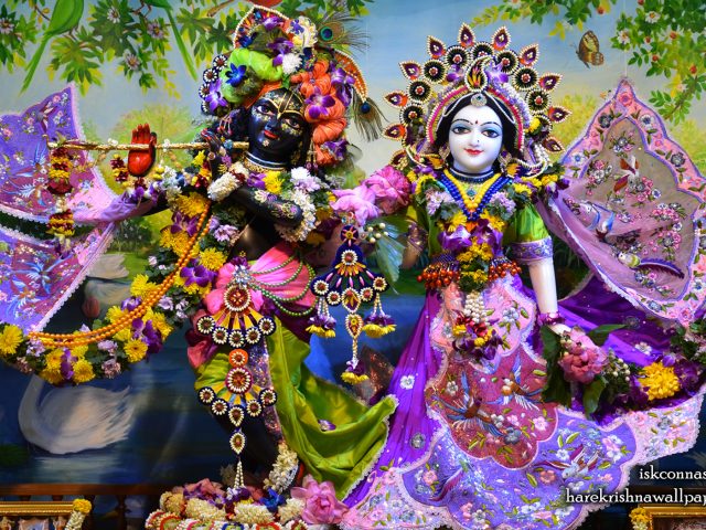 Sri Sri Radha Madan Gopal Wallpaper (021) Size 1680×1050 Download