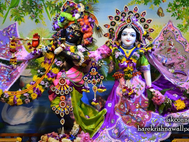 Sri Sri Radha Madan Gopal Wallpaper (021) Size 2400×1350 Download