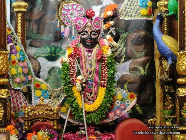 Sri Gopal Wallpaper (022)