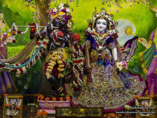 Sri Sri Radha Madan Gopal Wallpaper (022) Size 1200×900 Download