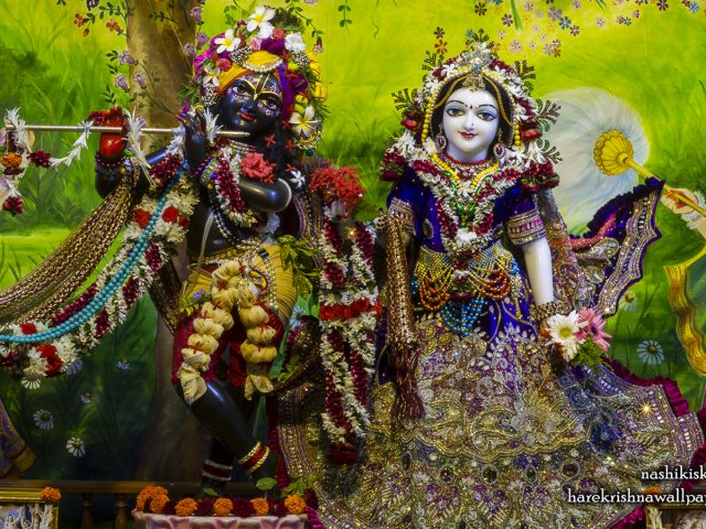 Sri Sri Radha Madan Gopal Wallpaper (022) Size 1440×900 Download