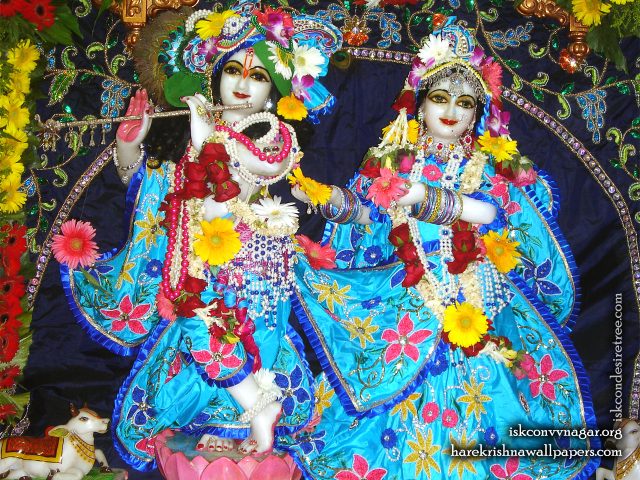 Sri Sri Radha Giridhari Wallpaper (023) Size 1280×1024 Download