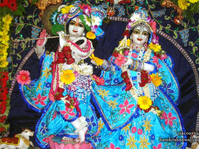 Sri Sri Radha Giridhari Wallpaper (023) Size 1440×900 Download