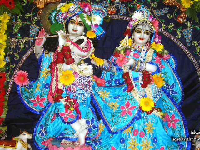Sri Sri Radha Giridhari Wallpaper (023) Size 1600×900 Download