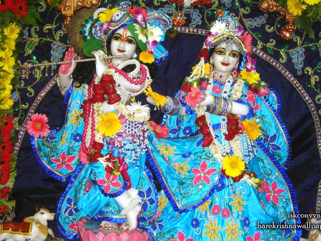 Sri Sri Radha Giridhari Wallpaper (023) Size 1680×1050 Download