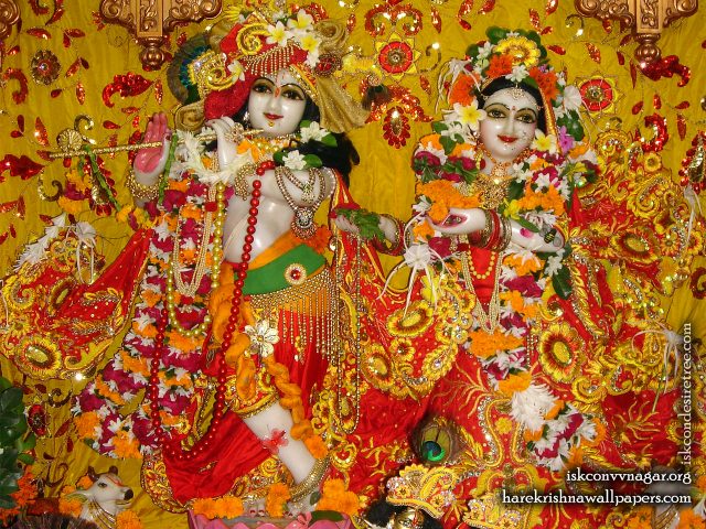 Sri Sri Radha Giridhari Wallpaper (024) Size 1280×1024 Download