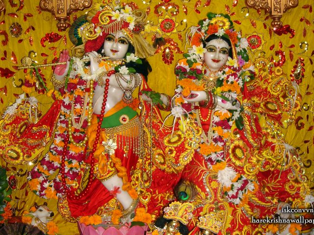 Sri Sri Radha Giridhari Wallpaper (024) Size 2560×1600 Download