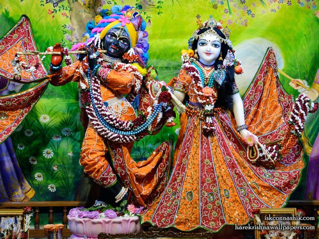 Sri Sri Radha Madan Gopal Wallpaper (024) Size 1024×768 Download