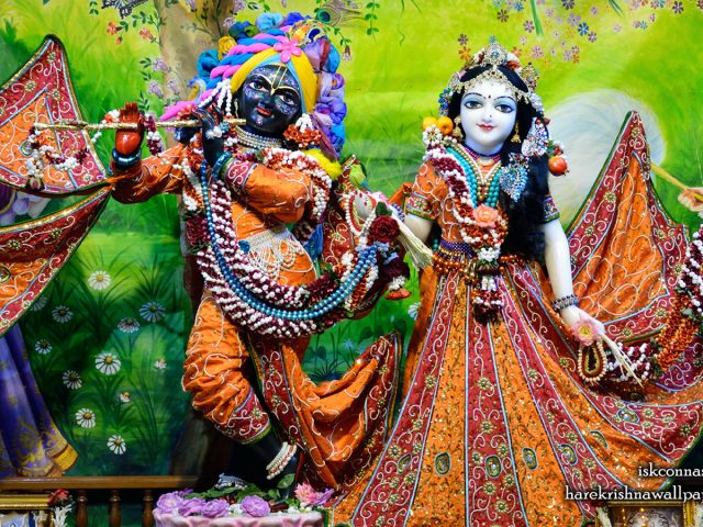 Sri Sri Radha Madan Gopal Wallpaper (024) Size 1440×900 Download