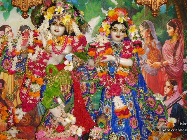 Sri Sri Radha Giridhari Wallpaper (026) Size 1600×900 Download