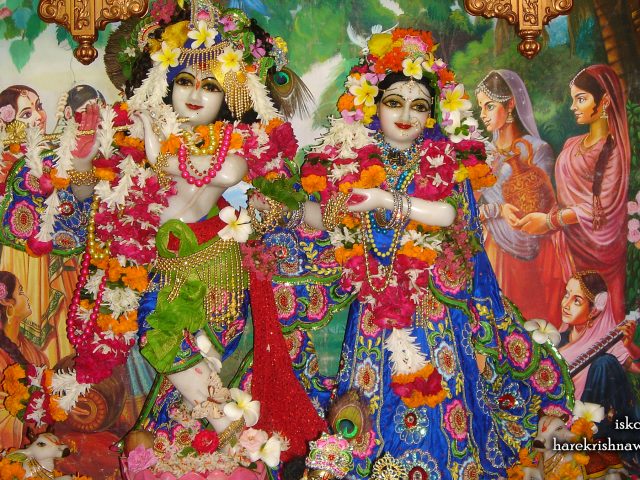 Sri Sri Radha Giridhari Wallpaper (026) Size 2400×1350 Download