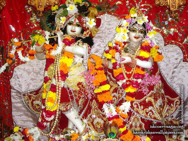 Sri Sri Radha Giridhari Wallpaper (027) Size 1280×1024 Download