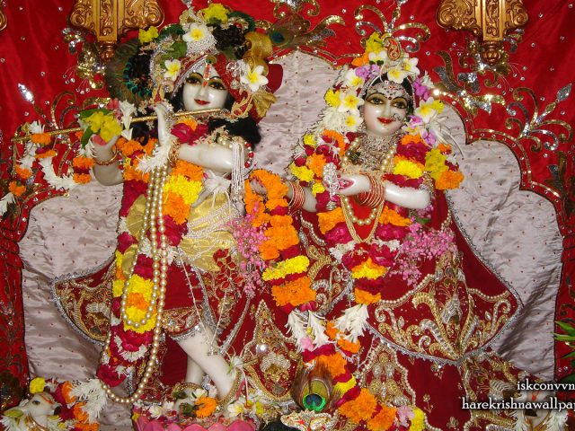 Sri Sri Radha Giridhari Wallpaper (027) Size 1440×900 Download