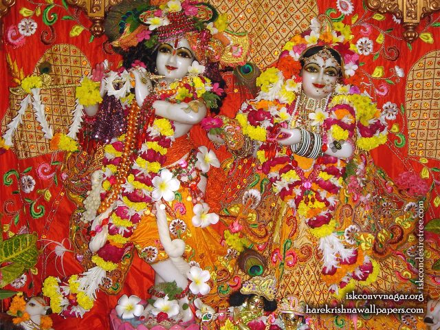 Sri Sri Radha Giridhari Wallpaper (028) Size 1280×1024 Download