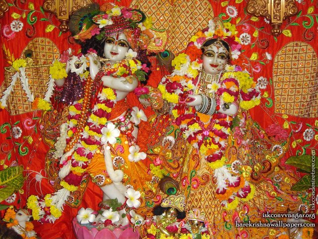 Sri Sri Radha Giridhari Wallpaper (028) Size 1600×1200 Download