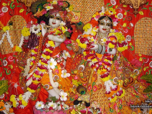 Sri Sri Radha Giridhari Wallpaper (028) Size 1600×900 Download