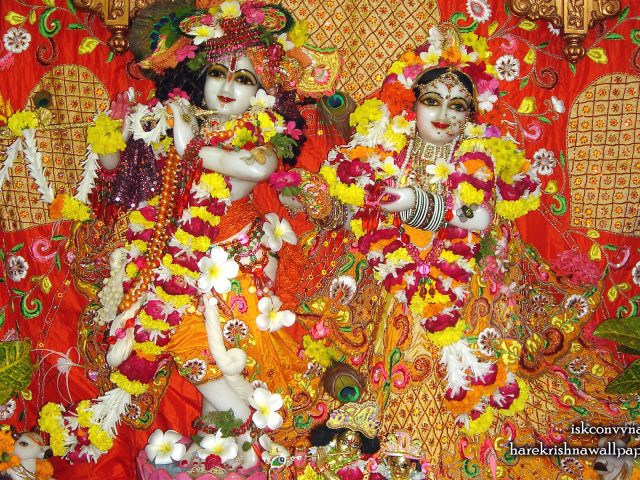 Sri Sri Radha Giridhari Wallpaper (028) Size 1920×1200 Download