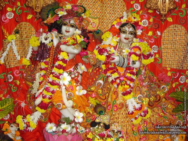 Sri Sri Radha Giridhari Wallpaper (028) Size 800×600 Download