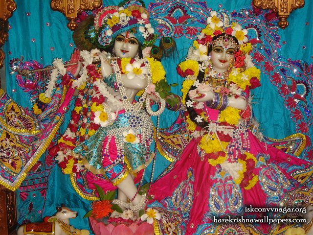 Sri Sri Radha Giridhari Wallpaper (030) Size 1280×1024 Download