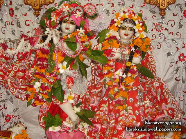 Sri Sri Radha Giridhari Wallpaper (031) Size 1280×1024 Download