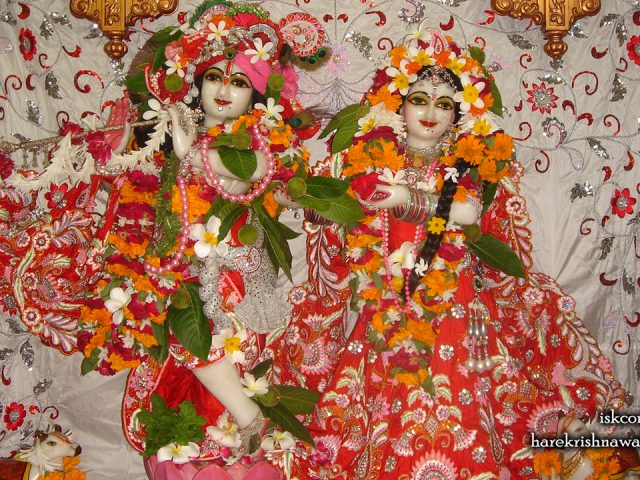 Sri Sri Radha Giridhari Wallpaper (031) Size 1280×720 Download