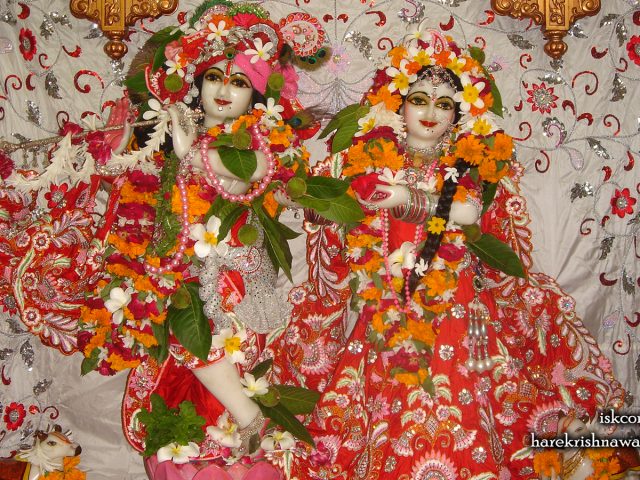 Sri Sri Radha Giridhari Wallpaper (031) Size 1600×900 Download