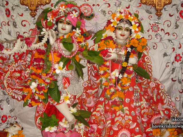 Sri Sri Radha Giridhari Wallpaper (031) Size 1920×1080 Download