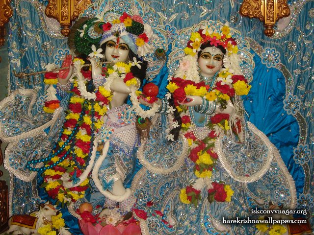 Sri Sri Radha Giridhari Wallpaper (032) Size 1280×1024 Download