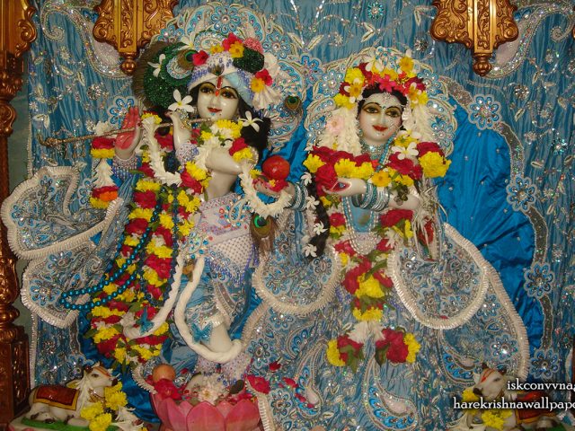 Sri Sri Radha Giridhari Wallpaper (032) Size 1280×800 Download