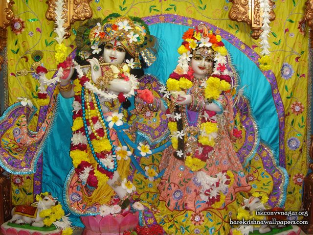 Sri Sri Radha Giridhari Wallpaper (033) Size 1024×768 Download