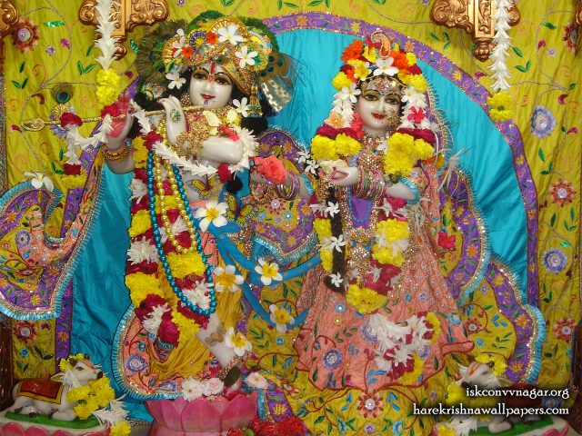 Sri Sri Radha Giridhari Wallpaper (033) Size 1280×1024 Download