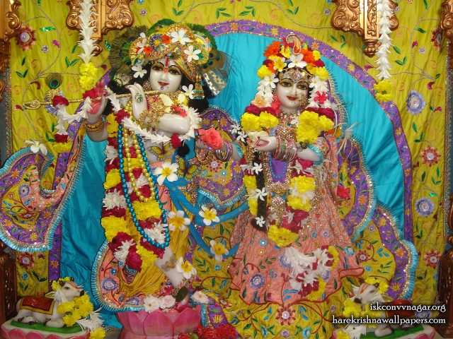 Sri Sri Radha Giridhari Wallpaper (033) Size 1280×960 Download