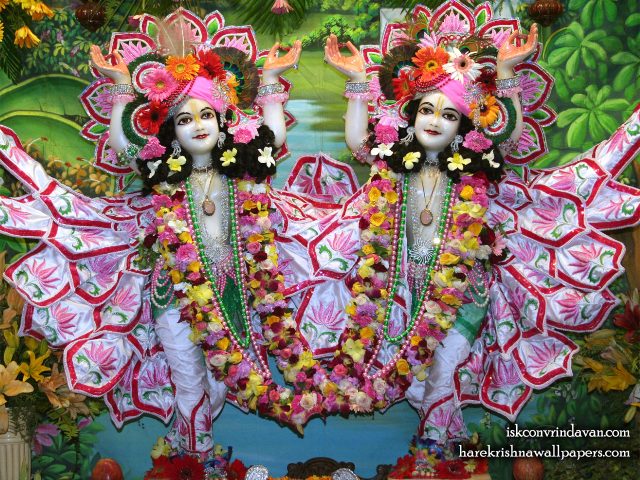 Sri Sri Gaura Nitai Wallpaper (085) Size 1280×1024 Download