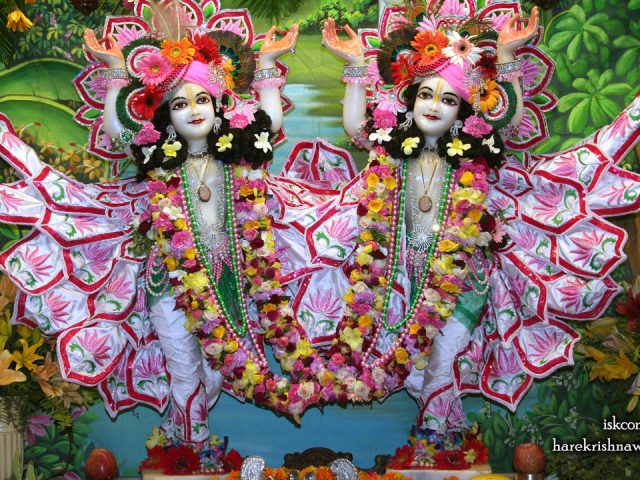 Sri Sri Gaura Nitai Wallpaper (085) Size 1280×720 Download