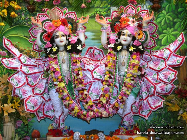 Sri Sri Gaura Nitai Wallpaper (085) Size 2400×1800 Download