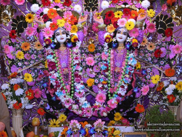 Sri Sri Gaura Nitai Wallpaper (086) Size 1024×768 Download