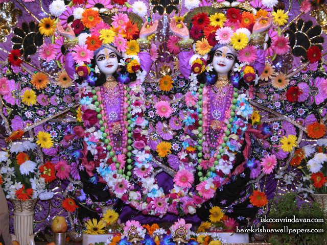 Sri Sri Gaura Nitai Wallpaper (086) Size 1280×1024 Download