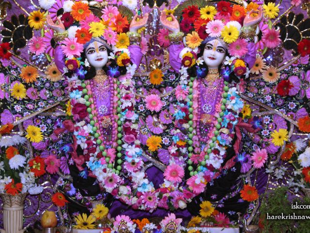 Sri Sri Gaura Nitai Wallpaper (086) Size 1280×720 Download