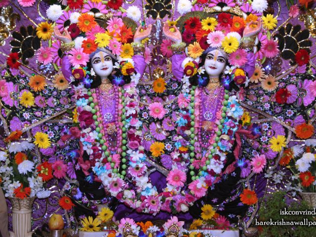 Sri Sri Gaura Nitai Wallpaper (086) Size 1280×800 Download