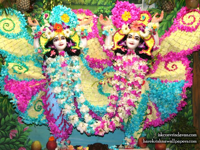 Sri Sri Gaura Nitai Wallpaper (087) Size 1280×1024 Download