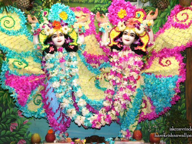 Sri Sri Gaura Nitai Wallpaper (087) Size 2560×1600 Download