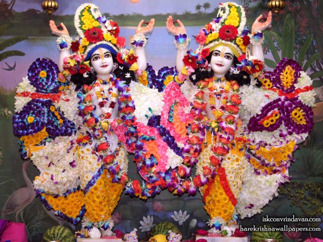 Sri Sri Gaura Nitai Wallpaper (088) Size 1152×864 Download