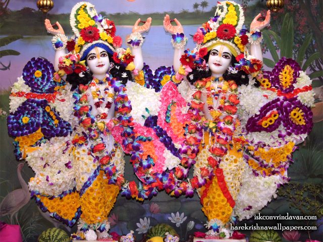 Sri Sri Gaura Nitai Wallpaper (088) Size 1280×1024 Download