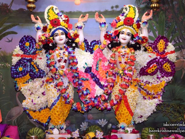 Sri Sri Gaura Nitai Wallpaper (088) Size 1280×800 Download