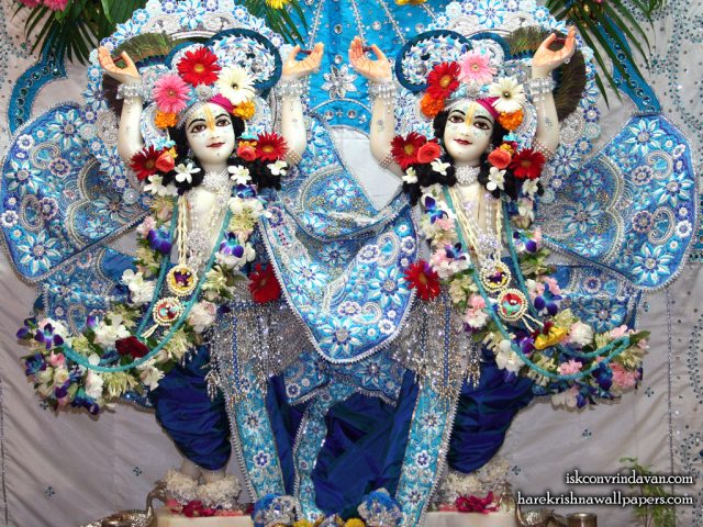 Sri Sri Gaura Nitai Wallpaper (089) Size 1024×768 Download