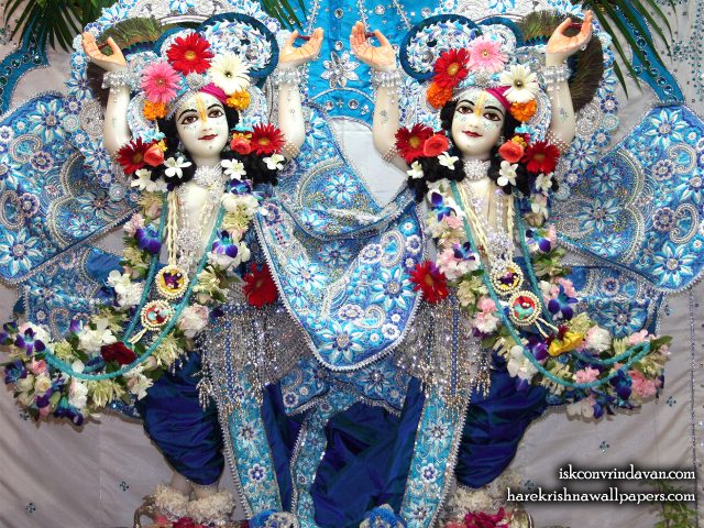 Sri Sri Gaura Nitai Wallpaper (089) Size 1280×1024 Download