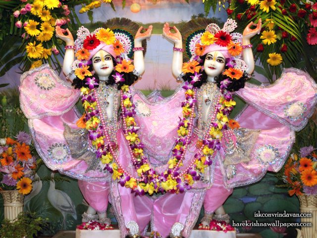 Sri Sri Gaura Nitai Wallpaper (090) Size 1024×768 Download