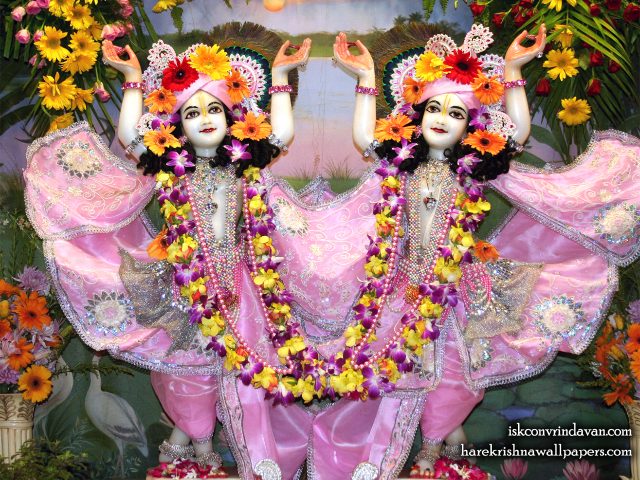 Sri Sri Gaura Nitai Wallpaper (090) Size 1280×1024 Download