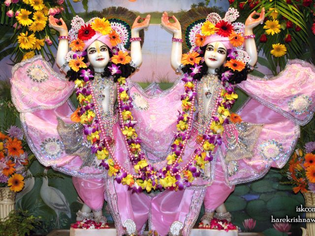 Sri Sri Gaura Nitai Wallpaper (090) Size 1280×720 Download