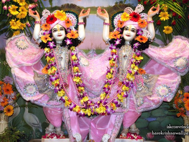 Sri Sri Gaura Nitai Wallpaper (090) Size 1440×900 Download